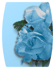 DAREC-061 Bouquet Of Roses Blue